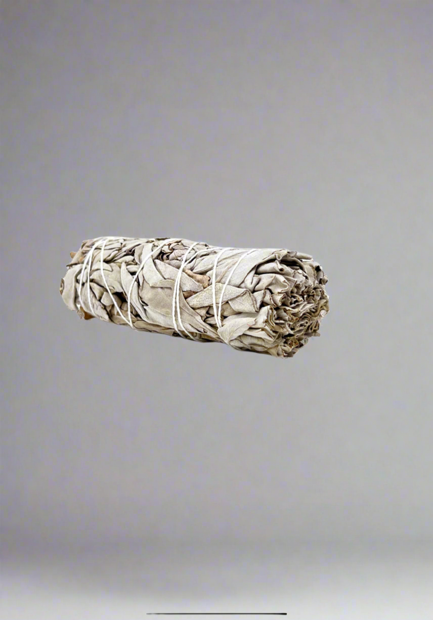 White Sage 9”