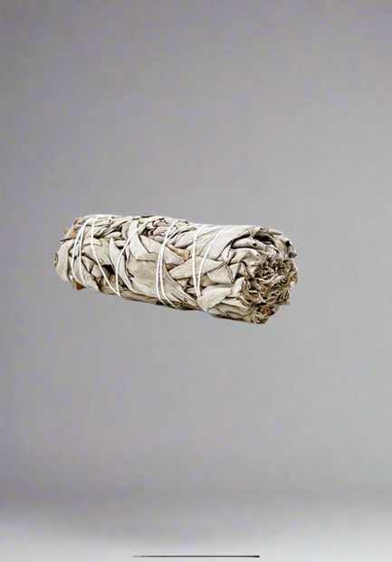 White Sage 9”