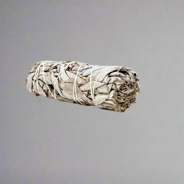 White Sage 9”