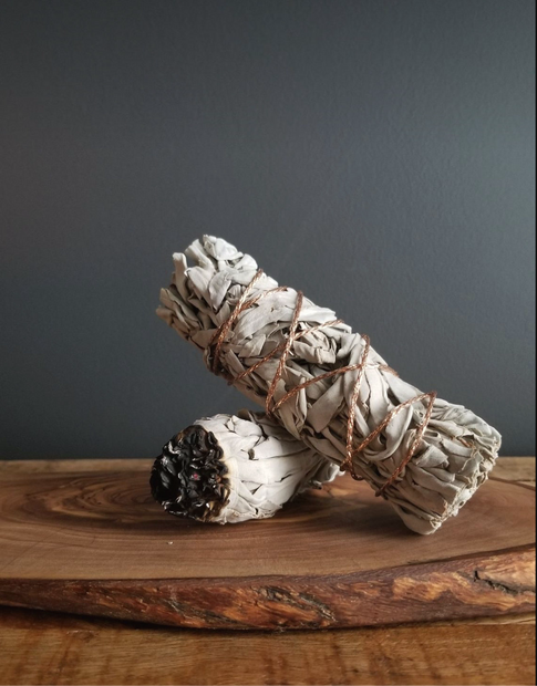 White Sage 4”