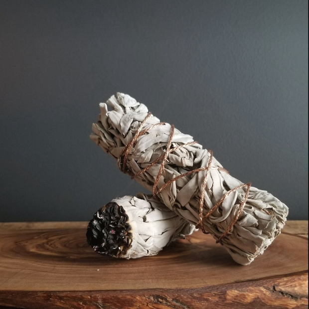 White Sage 4”